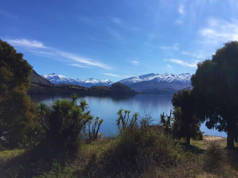 From Wanaka: Ruby Island 1-Hour Cruise and Photo Walk - Cruising Lake Wanaka: short time, strong photo payoff