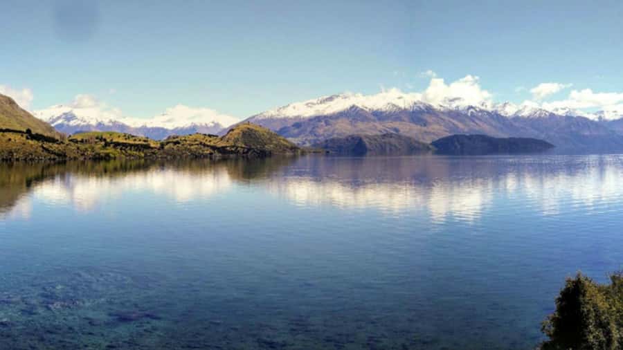 From Wanaka: Ruby Island 1-Hour Cruise and Photo Walk - The guided Ruby Island stroll: plants, history, and picture spots