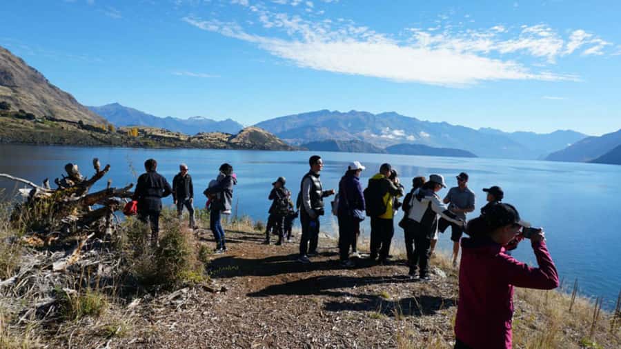 From Wanaka: Ruby Island 1-Hour Cruise and Photo Walk - Photo walk basics: how to get sharper Lake Wanaka shots in one hour