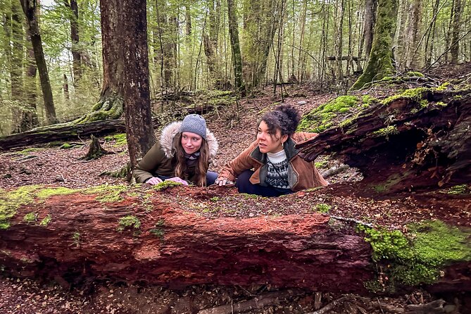 Full Day Lord of the Rings Mavora Lakes Adventure! - Devil’s Staircase and the long scenic drive: time in the car, payoff at the stops