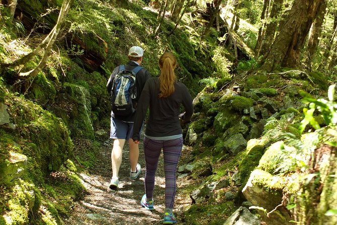 Full-Day Small-Group Routeburn Valley Hike - Routeburn Track basics: what this “moderate portion” really means