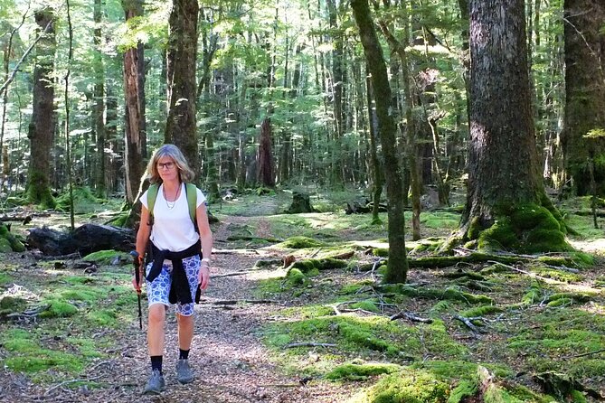 Full-Day Small-Group Routeburn Valley Hike - Picnic lunch at the local café: what to plan for