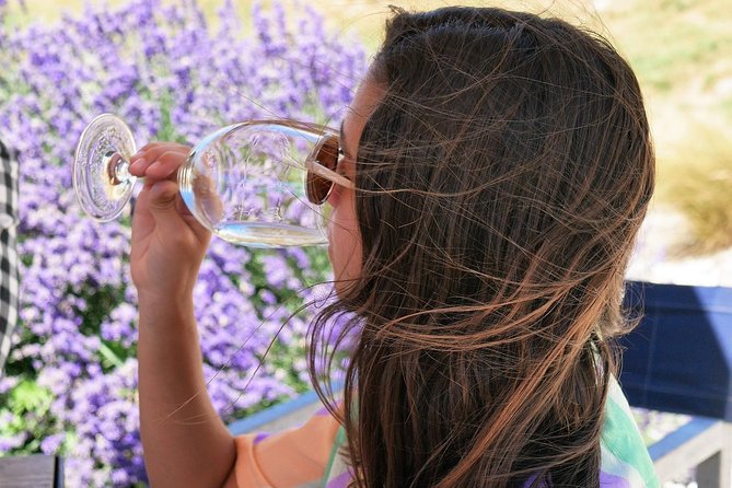 Gibbston Half-Day Private Wine Tour with Hotel Pickup - Stop in Gibbston: Four Cellar Doors in Central Otago Wine Country