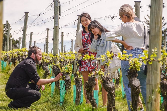 Gibbston Valley Wines - Winery Tour - Queenstown timing: 45 minutes that actually fit your day