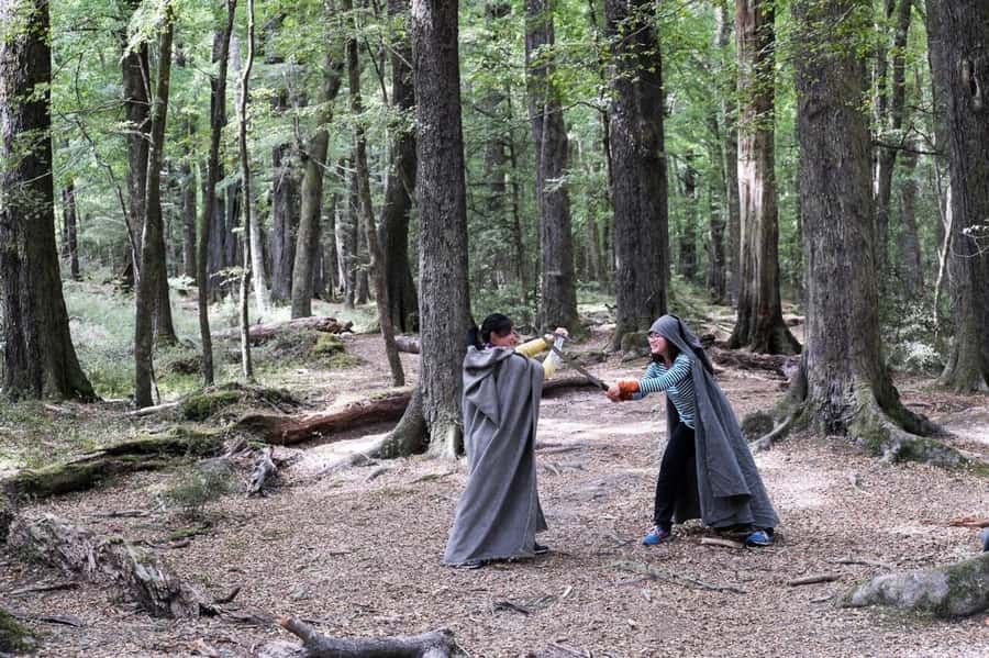 Glenorchy: 4WD Lord Of the Rings Half-Day Tour - Paradise Valley and Lothlorien: where the scenery turns into a set
