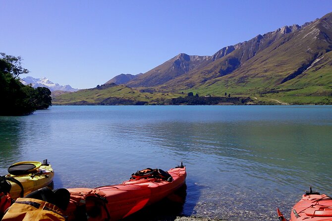 Glenorchy Island Safari departing Queenstown - Key Highlights You’ll Care About
