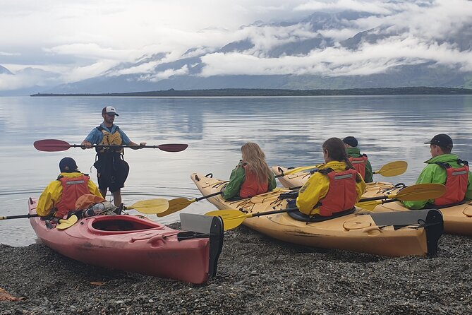 Glenorchy Island Safari, Self-drive option - Tea on the beach and the short walk for flightless birds