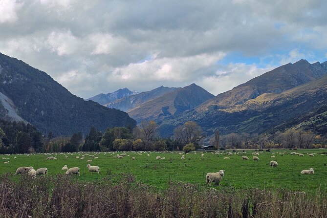 Glenorchy Private Day Trip from Queenstown: TravelnGo - Optional Glenorchy Lagoon Walkway and Diamond Lake: easy legs, quiet rewards