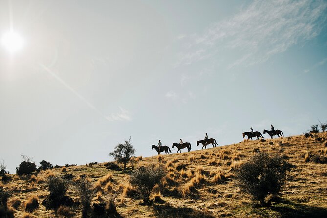 Gold Discovery Trail Horse Trek Cardrona - Most popular! - Key things to know before you ride