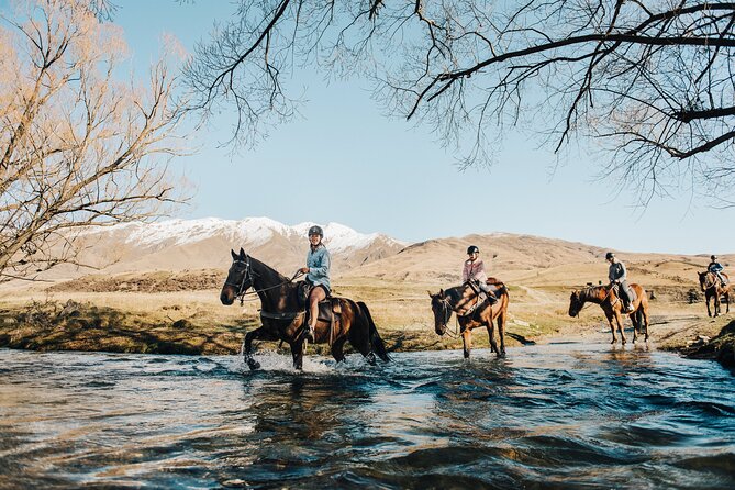 Gold Discovery Trail Horse Trek Cardrona - Most popular! - Why this Cardrona gold-route on horseback is such a good Queenstown-area pick