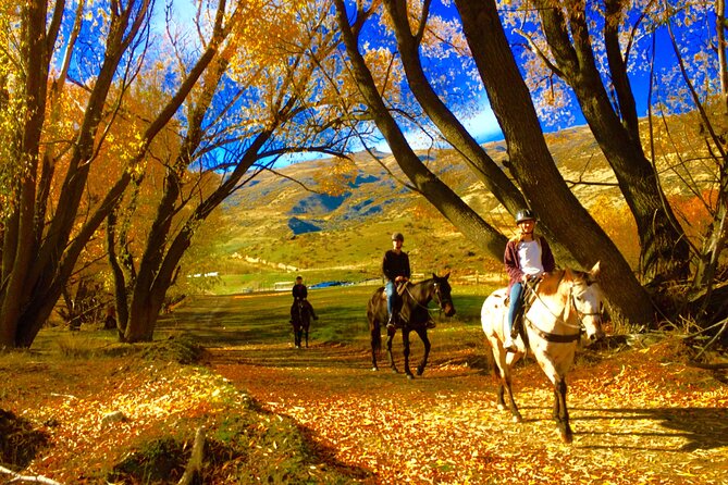 Gold Discovery Trail Horse Trek Cardrona - Most popular! - Meeting up at Cardrona and getting matched to your horse
