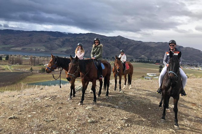 Golden Hills Horse Trek in Central Otago - Key Points You’ll Actually Care About