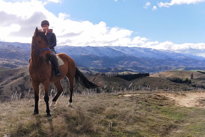 Golden Hills Horse Trek in Central Otago - Horses and Guides: The Real Secret Sauce of This Ride