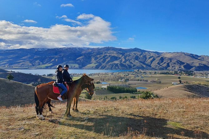 Golden Hills Horse Trek in Central Otago - Getting Started on the Top Hill Trek: How Stop 1 Sets You Up
