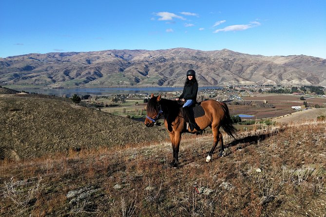 Golden Hills Horse Trek in Central Otago - Meeting in Cromwell: What to Know Before You Go
