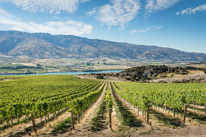 Gourmet Food and Wine Tour Queenstown All-Inclusive Tour - Key highlights at a glance