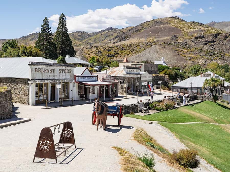 Gourmet Food and Wine Tour with Lunch and Wine Tastings - FAQ