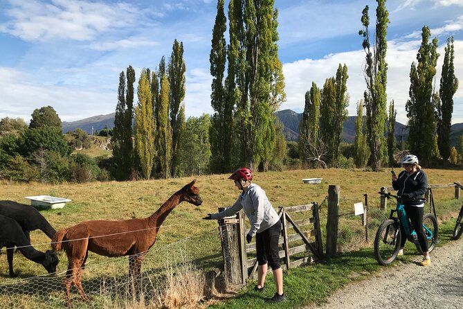 Guided eBike Wine Tour Ride to the Vines - Why this eBike wine tour feels different in Queenstown
