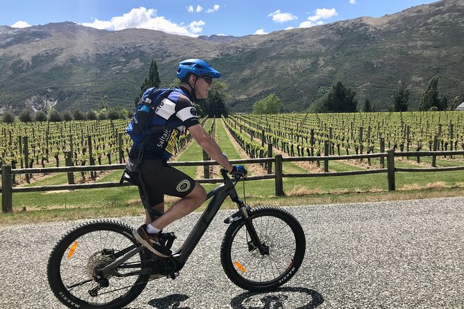 Guided eBike Wine Tour Ride to the Vines - Country Lane Retail Village to Arrowtown: start with momentum