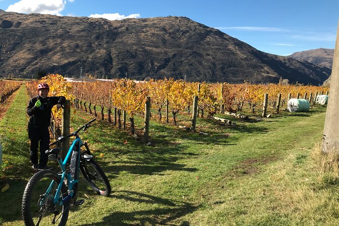 Guided eBike Wine Tour Ride to the Vines - Two wineries in the Gibbston Valley: wine tasting with context