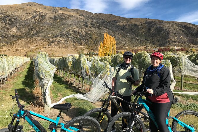 Guided eBike Wine Tour Ride to the Vines - The full 6-hour plan: ride, bridges, animals, then wine