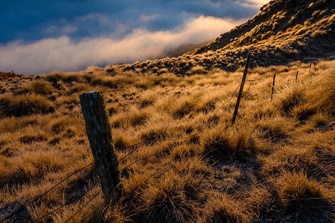 Half-Day Queenstown Photography Tour - Who This Tour Fits Best (and Who Might Want Another Option)