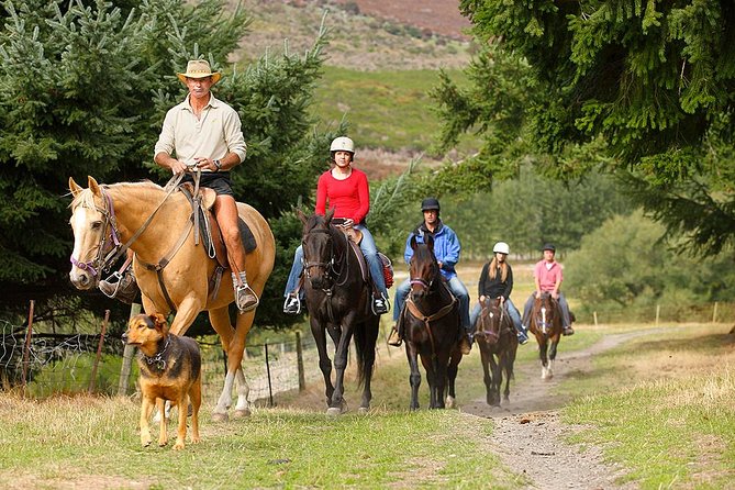 Half Day Walter Peak Horse Trek and Cruise from Queenstown - The views: rolling terraces, a lookout stop, and Remarkables scenery