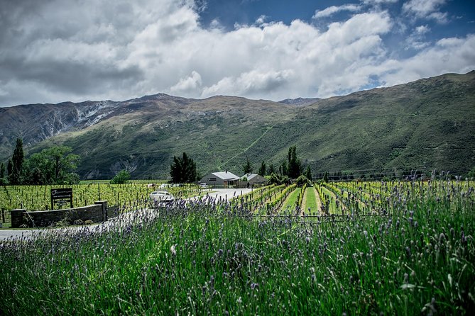 Hop on Hop off Wine Tours Queenstown - Price and value: what the €51 buys (and what it does not)