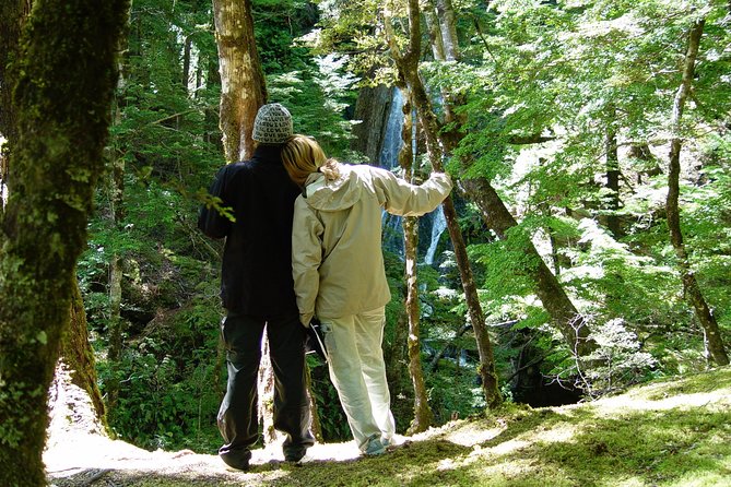 Jet Boat and Wilderness Walk Tour from Wanaka - Who This Tour Fits Best in Real Life