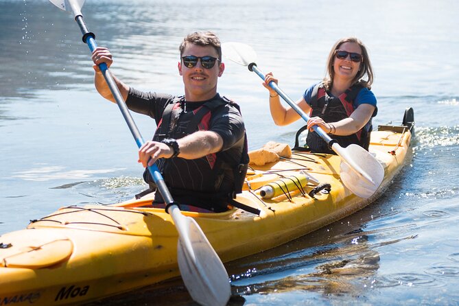 Kayak Rental Adventure - The Mission - Key Highlights That Make This Trip Worth It