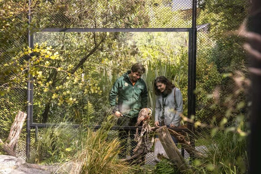 Kiwi Park Admission Ticket - Key points worth planning around