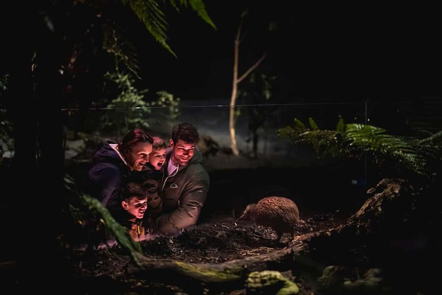 Kiwi Park Admission Ticket - Self-guided audio tour across native flora and fauna (on your schedule)