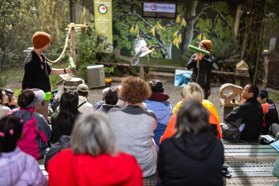 Kiwi Park Admission Ticket - Who this ticket is best for (and who might rethink)