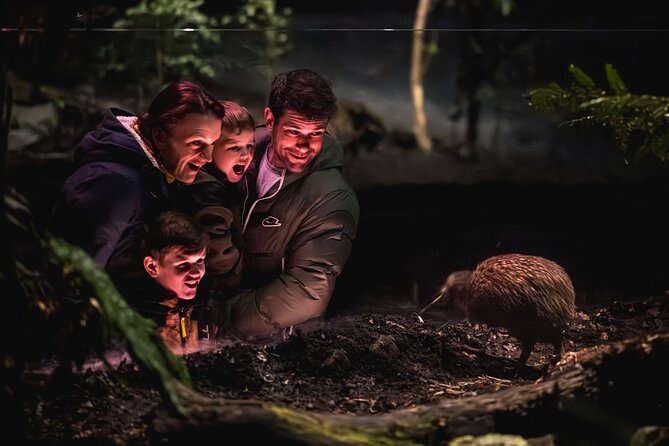 Kiwi Park Queenstown Admission - Kiwi Park in Central Queenstown: a smart indoor-outdoor wildlife break