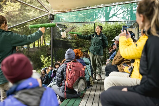 Kiwi Park Queenstown Admission - Kiwi Encounters: how the dark enclosure works (and how to see more)