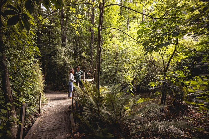 Kiwi Park Queenstown Admission - Price and value: does $39.72 make sense?