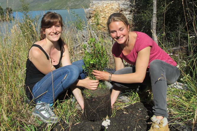 Lake Cruise & Mou Waho Island Nature Walk - Key things that make this tour worth your time
