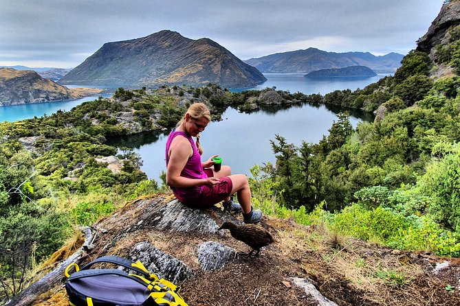 Lake Cruise & Mou Waho Island Nature Walk - Who this tour suits best (and who should reconsider)