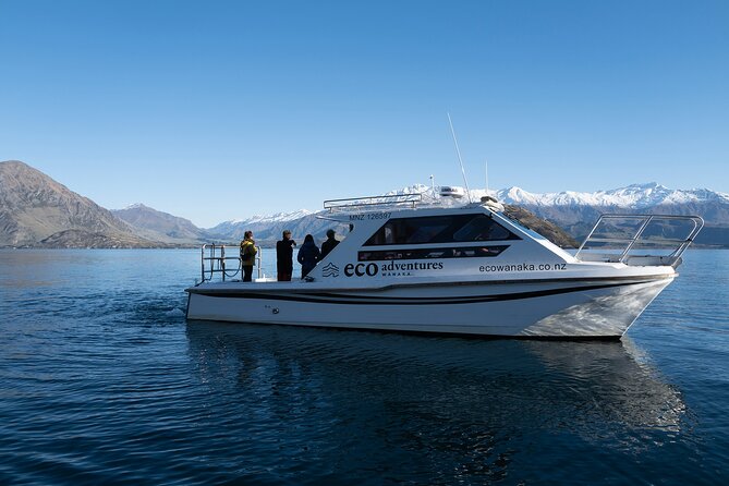 Lake Cruise & Mou Waho Island Nature Walk - Stepping onto Mou Waho Island: predator-free conservation in action