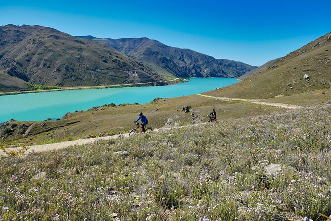 Lake Dunstan Discovery Day Tour by eBike with Shuttle - Key Highlights You’ll Actually Care About