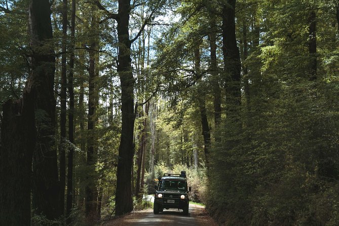Lord of Rings Tour around Queenstown Lakes by 4WD (full day) - Stop 3: 12 Mile Delta and the Ithilien Camp connection