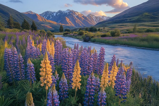 Lord of the Rings Scenic Half Day Tour from Queenstown - Bob’s Cove Track: A Relaxed Walk with a Real Foot-Bridge Moment