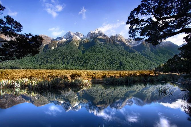 Luxury Milford Sound Coach and Scenic Cruise - Beach Street, 7:00 am, and why this plan works