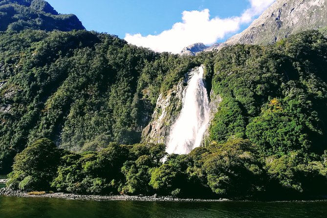 Luxury Milford Sound Coach and Scenic Cruise - Milford Sound cruise: where the scenery earns its reputation