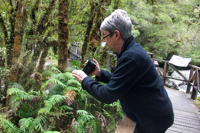 Luxury Milford Sound Coach and Scenic Cruise - Wildlife and weather: rain can be a feature, not a flaw