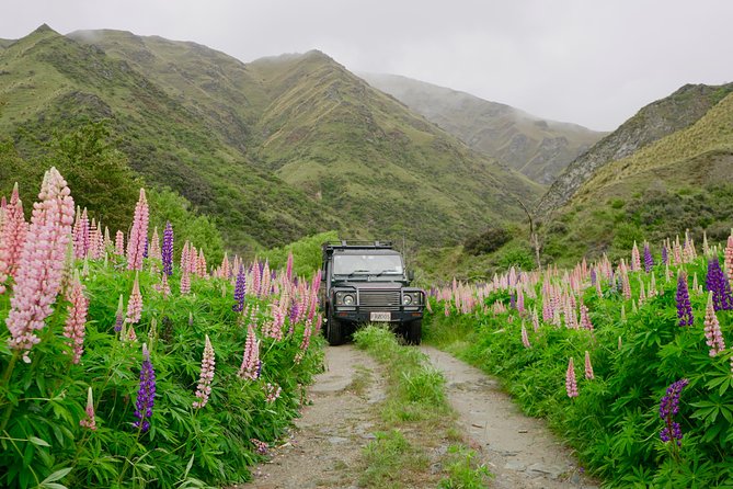 Macetown 4WD Adventure – Full Day Guided Tour from Queenstown - Arrow River gold panning: hands-on instructions, real trial-and-error