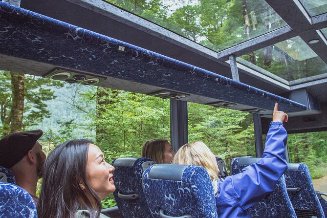 Milford Sound Coach and Cruise tour from Queenstown - Key things to know before you go