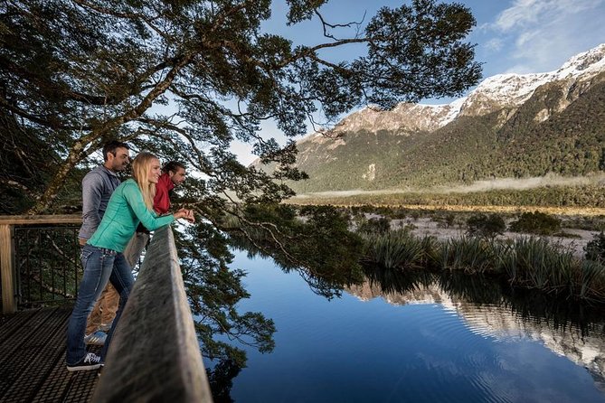 Milford Sound Coach and Cruise Tour from Queenstown with Flyback - What You’re Paying For: Why the $530.59 Price Can Still Feel Fair
