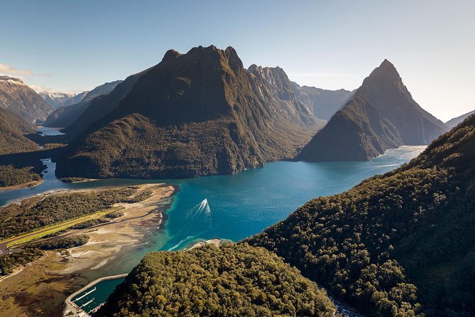 Milford Sound Coach and Cruise Tour from Queenstown with Flyback - Nature Stops With Real Value: Hollyford Views, Kea Spotting, and a Glacier-Fed Spring