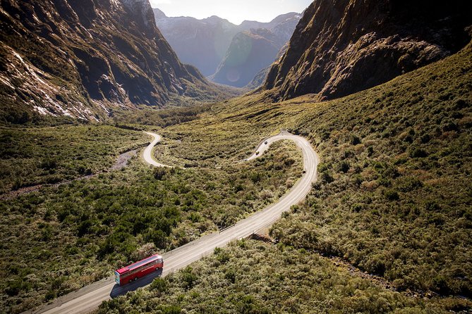 Milford Sound Coach & Cruise from Queenstown: Panoramic Views - Price and value: why $214.10 can make sense